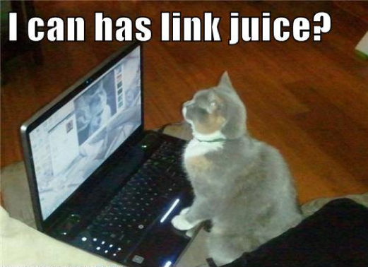 link-juice.png