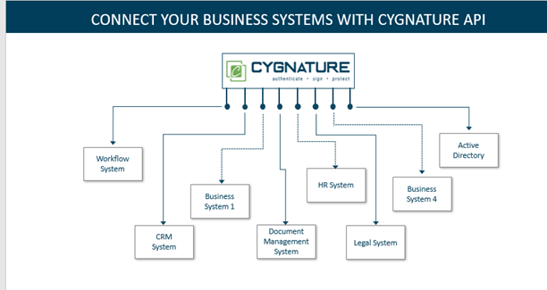 connect-business-with-Cygnature.png