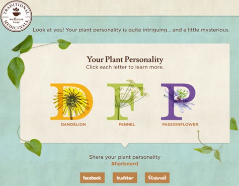 Traditional_Medicinals_Plant_Personality_Quiz_475px.jpg