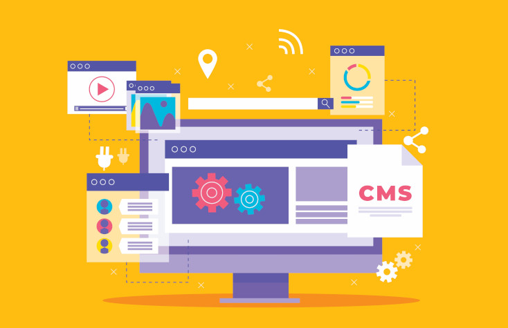 7 Core Standards for Assessing a New CMS  | Digital Noch