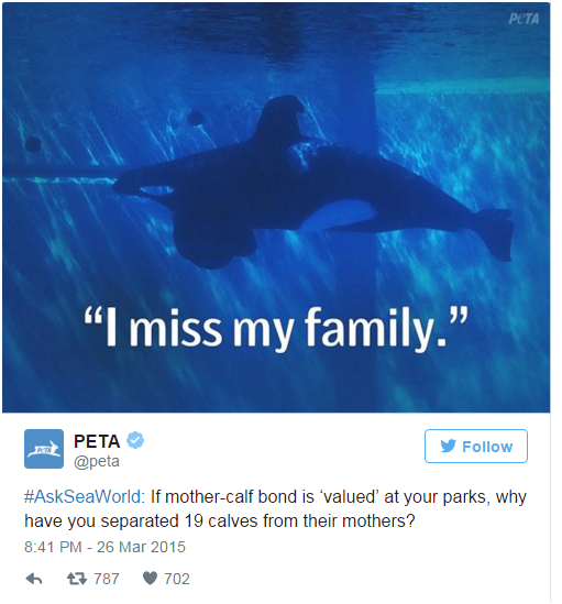 seaworld.png